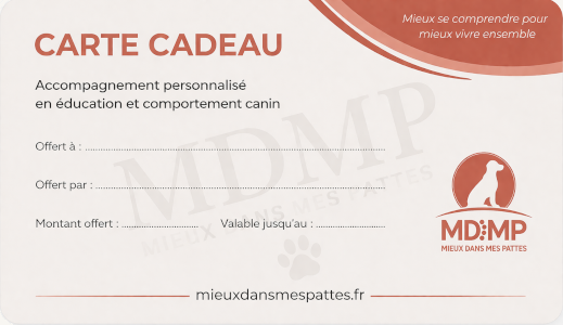 carte cadeau MDMP®